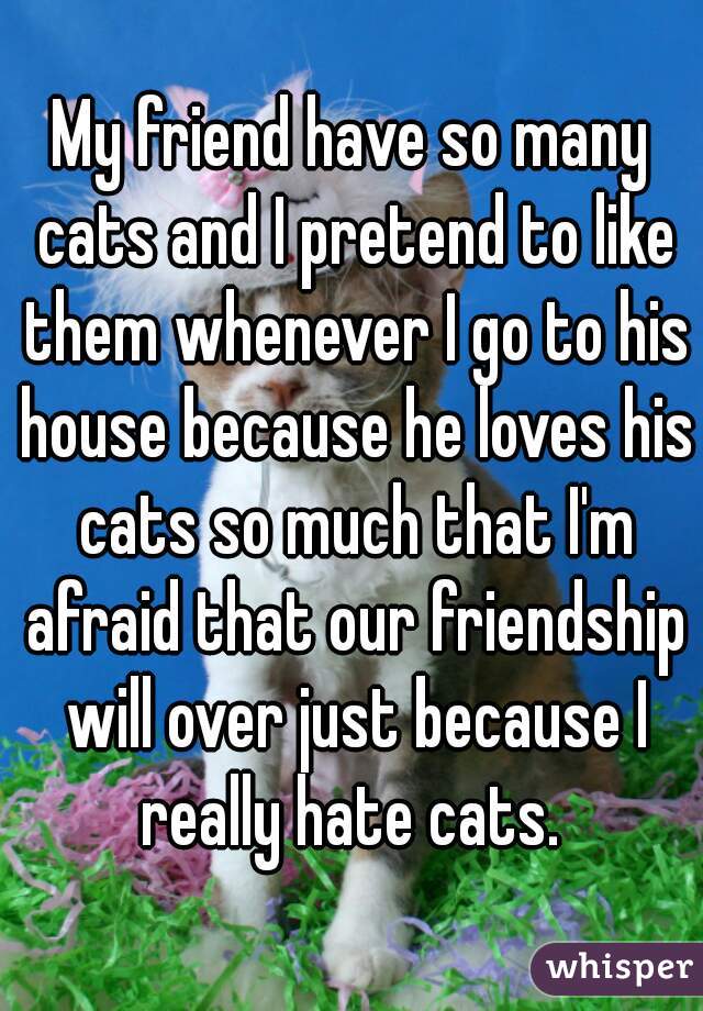 My friend have so many cats and I pretend to like them whenever I go to his house because he loves his cats so much that I'm afraid that our friendship will over just because I really hate cats. 