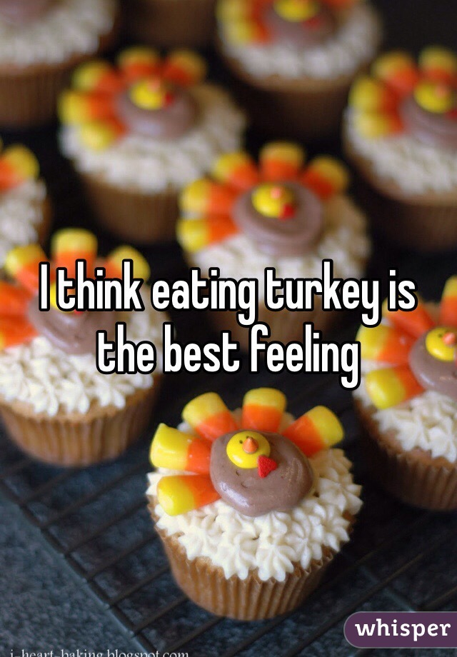 I think eating turkey is the best feeling