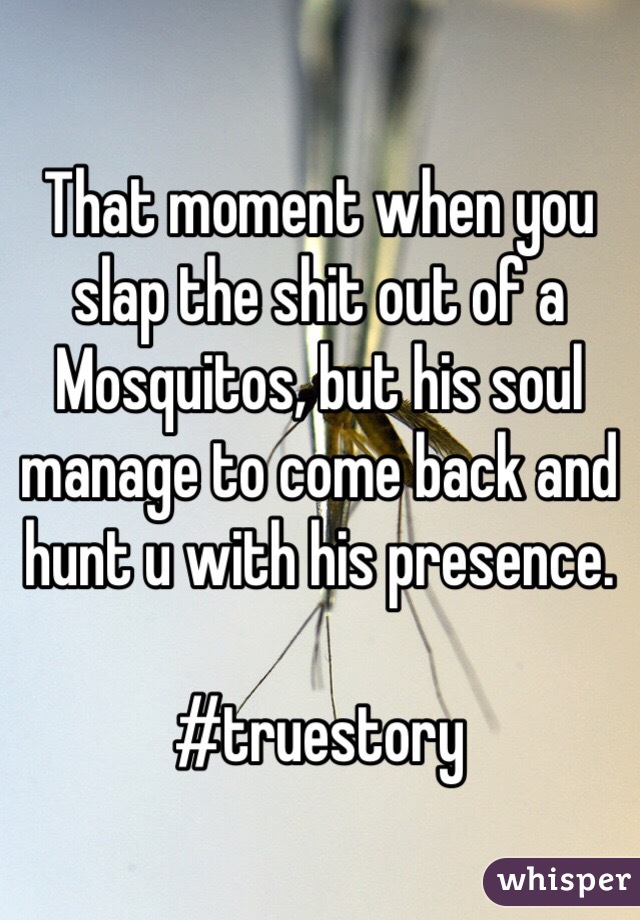 That moment when you slap the shit out of a Mosquitos, but his soul manage to come back and hunt u with his presence. 

#truestory
