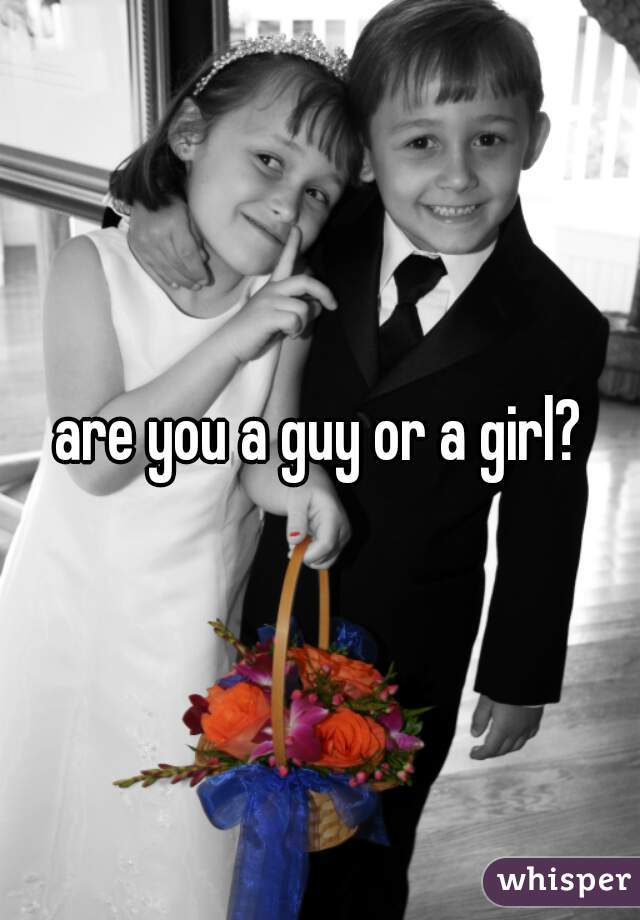 are you a guy or a girl?