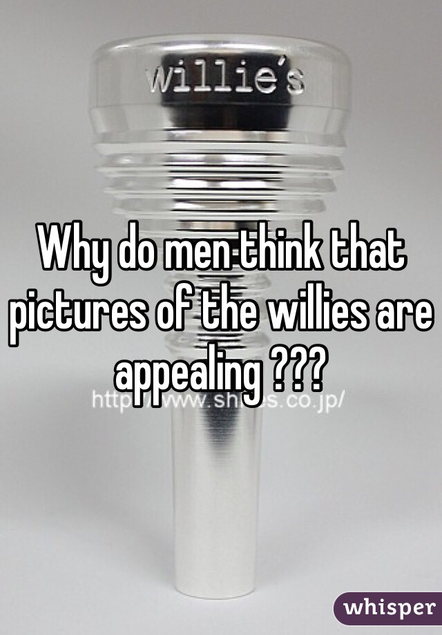 Why do men think that pictures of the willies are appealing ??? 