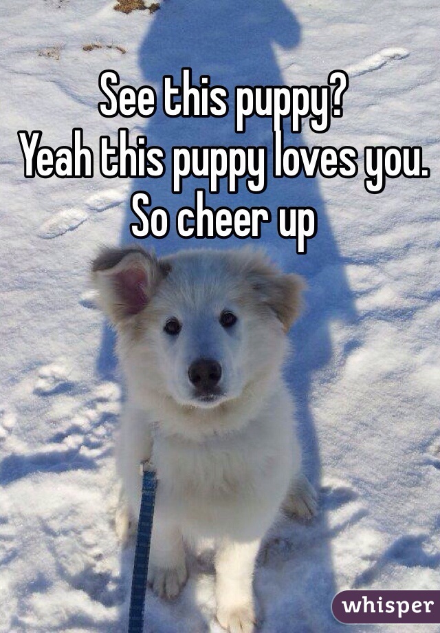 See this puppy?
Yeah this puppy loves you. 
So cheer up