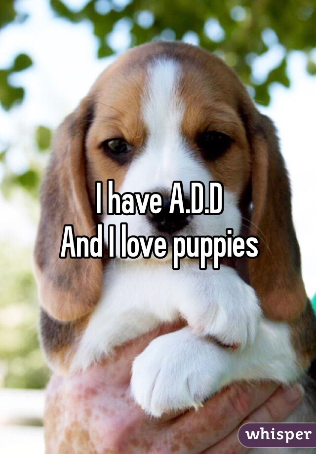 I have A.D.D
And I love puppies 