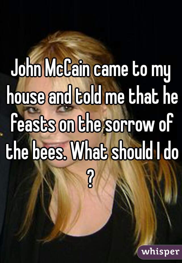 John McCain came to my house and told me that he feasts on the sorrow of the bees. What should I do?
