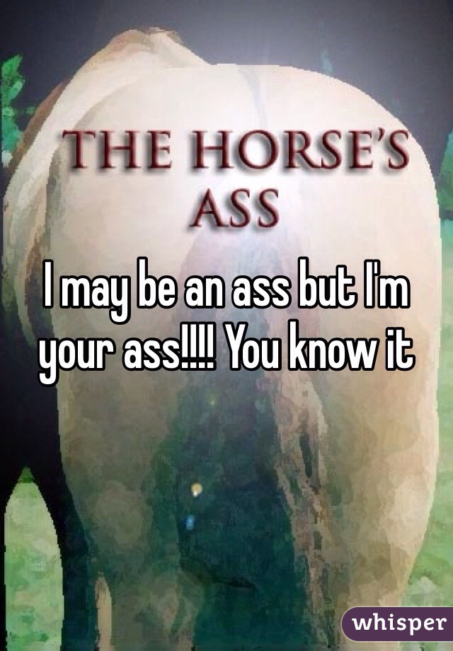 I may be an ass but I'm your ass!!!! You know it