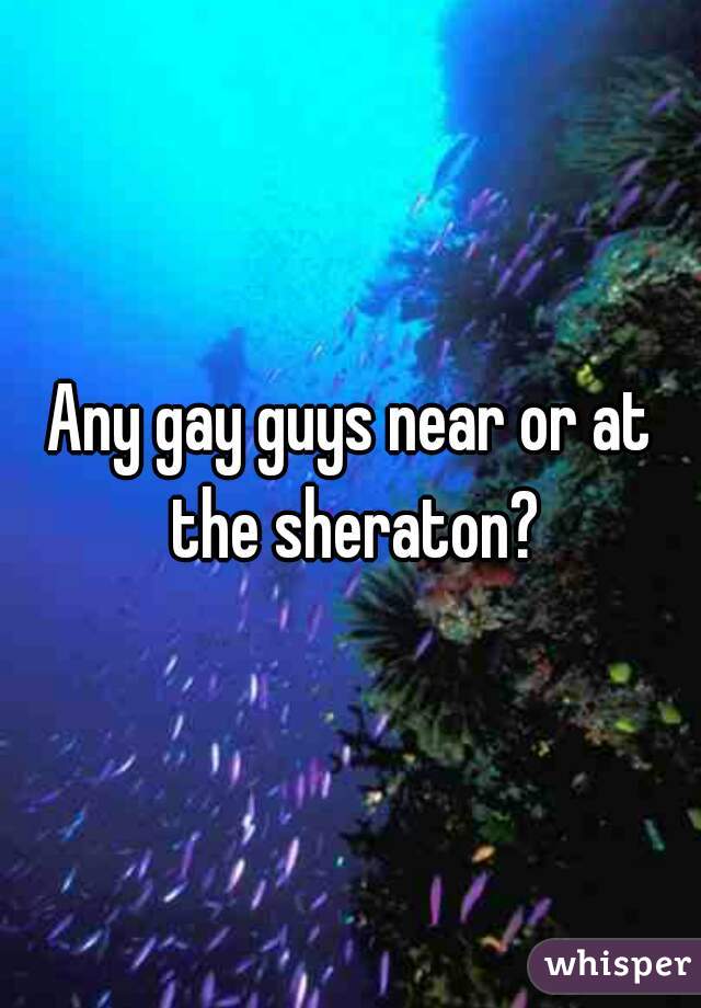 Any gay guys near or at the sheraton?
