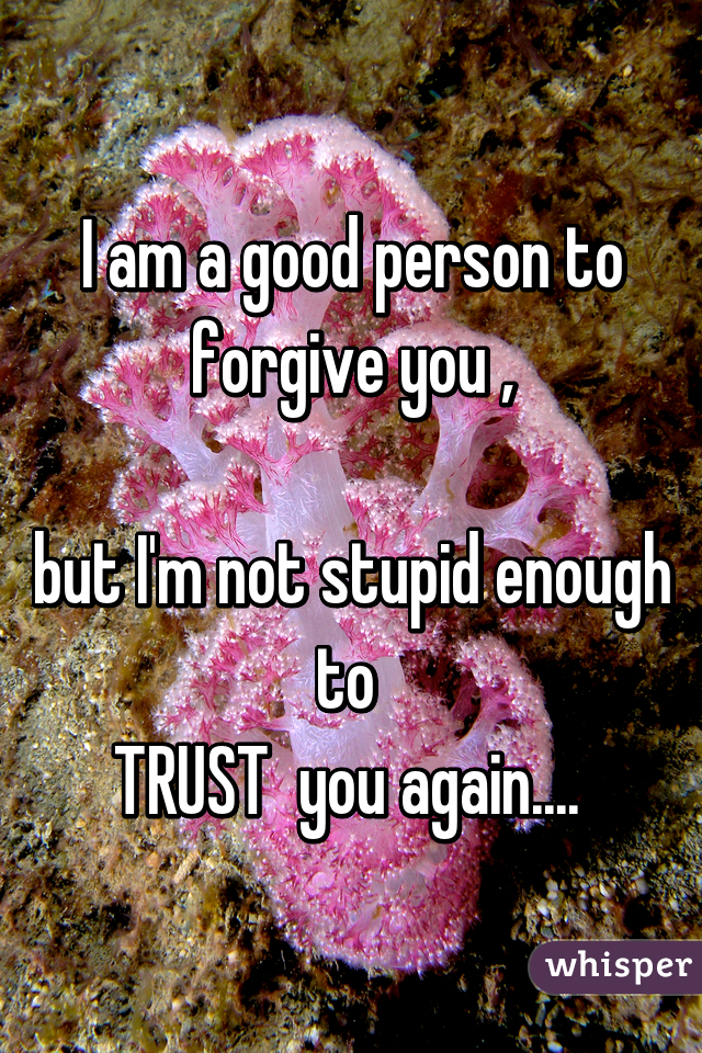I am a good person to forgive you ,

but I'm not stupid enough to 
TRUST  you again.... 