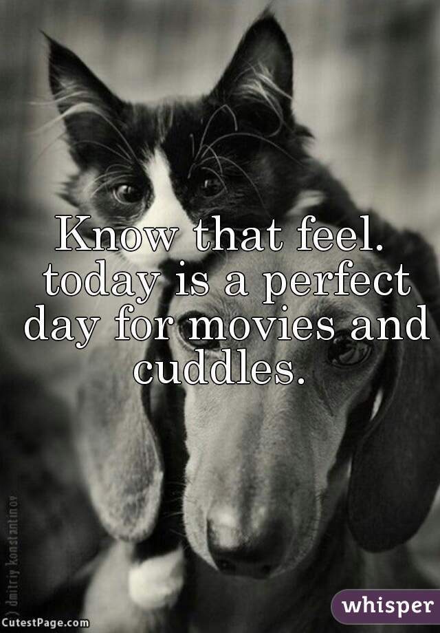 Know that feel. today is a perfect day for movies and cuddles. 