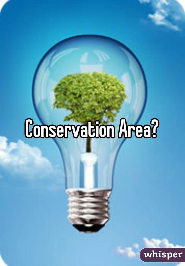 Conservation Area?