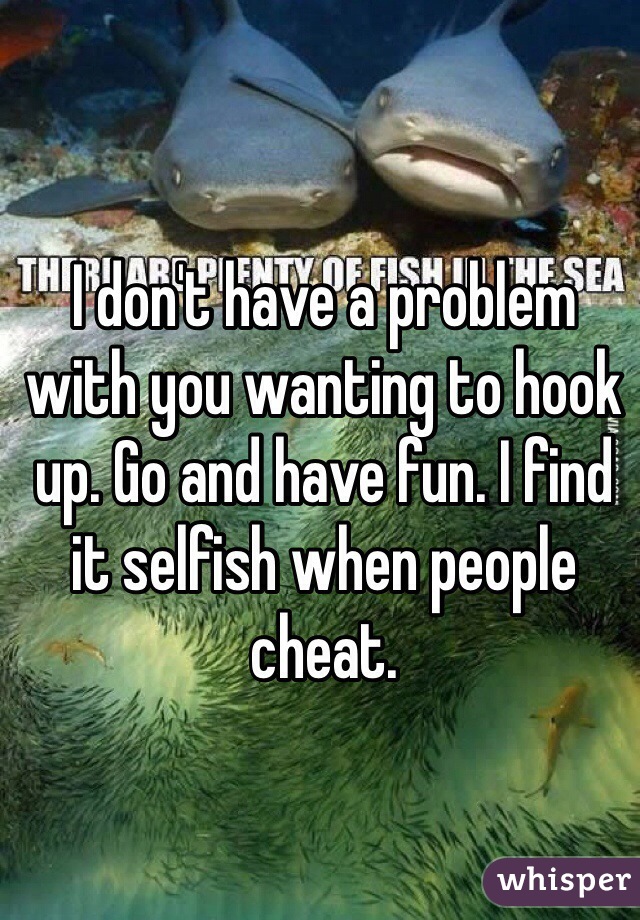 I don't have a problem with you wanting to hook up. Go and have fun. I find it selfish when people cheat. 