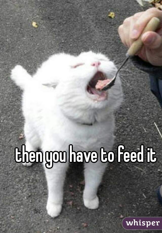 then you have to feed it 