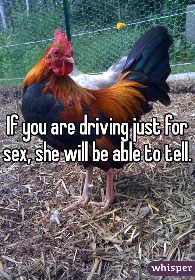If you are driving just for sex, she will be able to tell. 