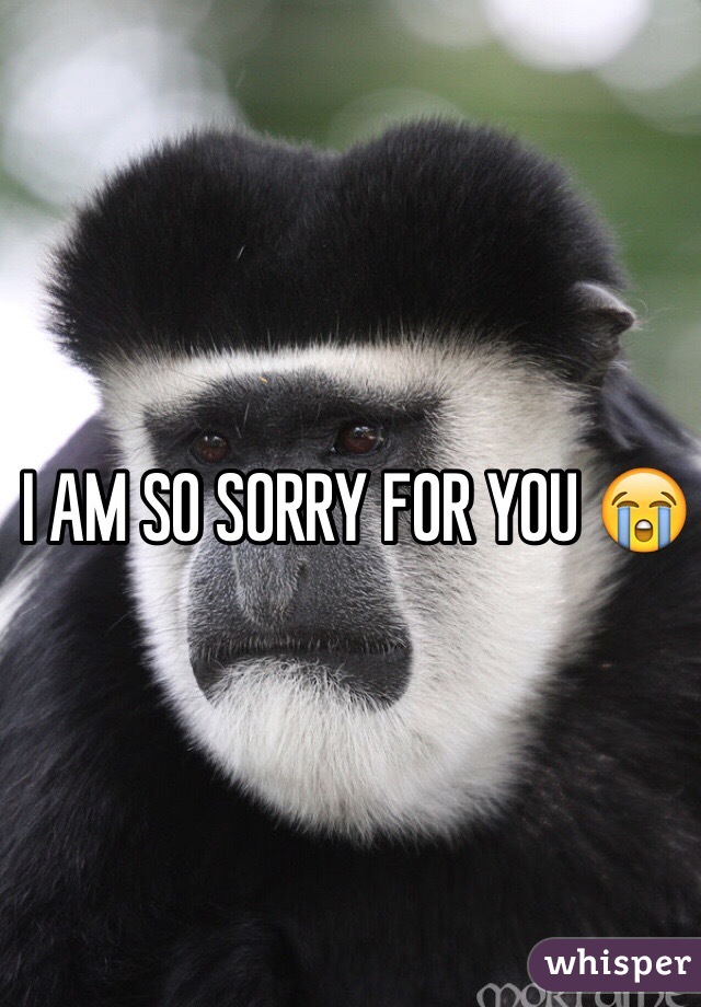 I AM SO SORRY FOR YOU 😭
