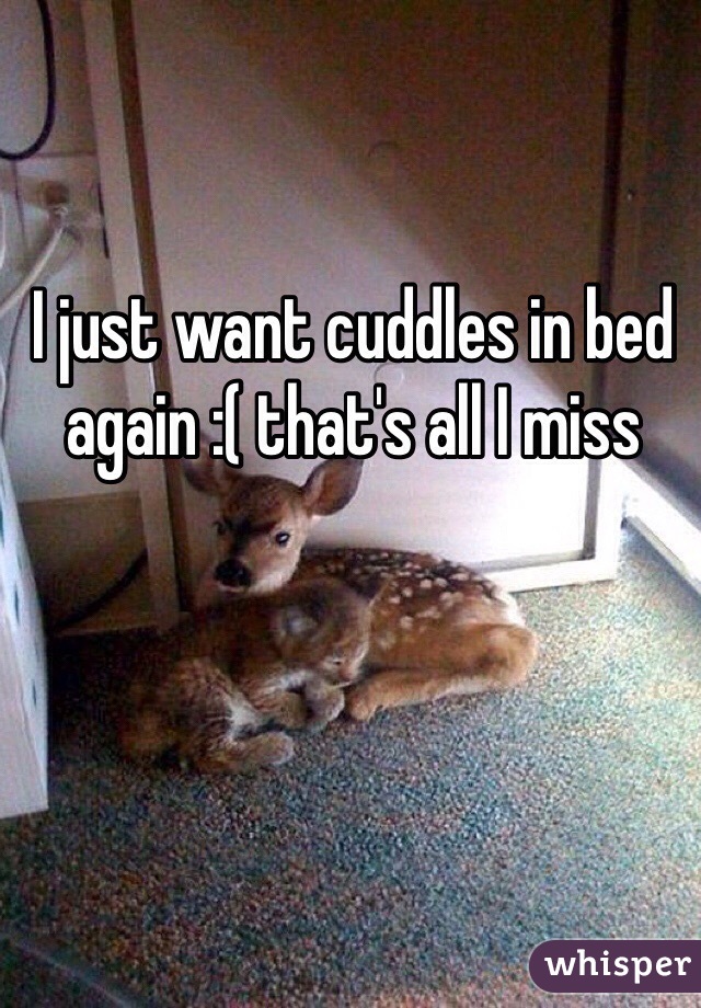 I just want cuddles in bed again :( that's all I miss 