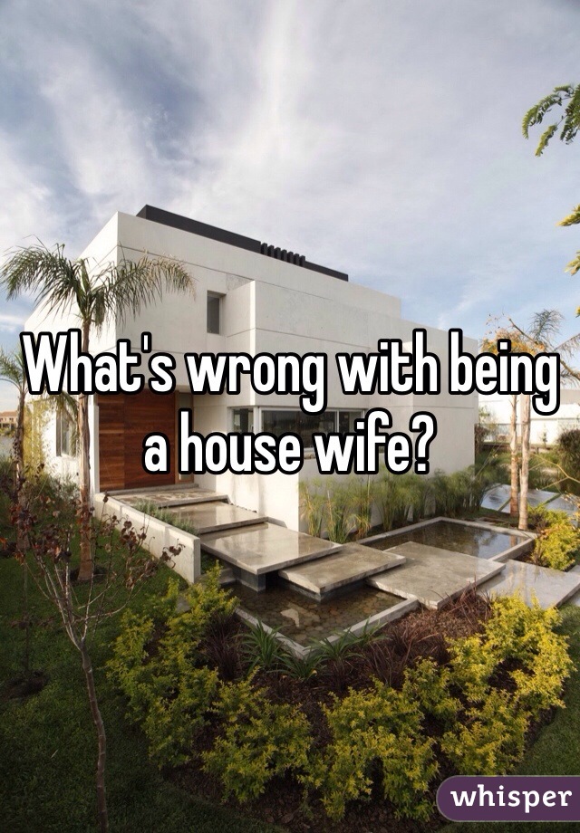 What's wrong with being a house wife?