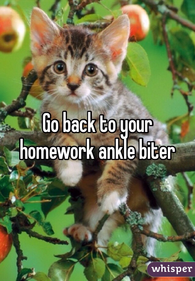 Go back to your homework ankle biter