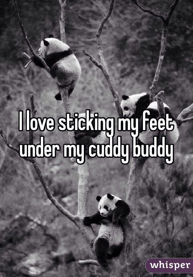 I love sticking my feet under my cuddy buddy 