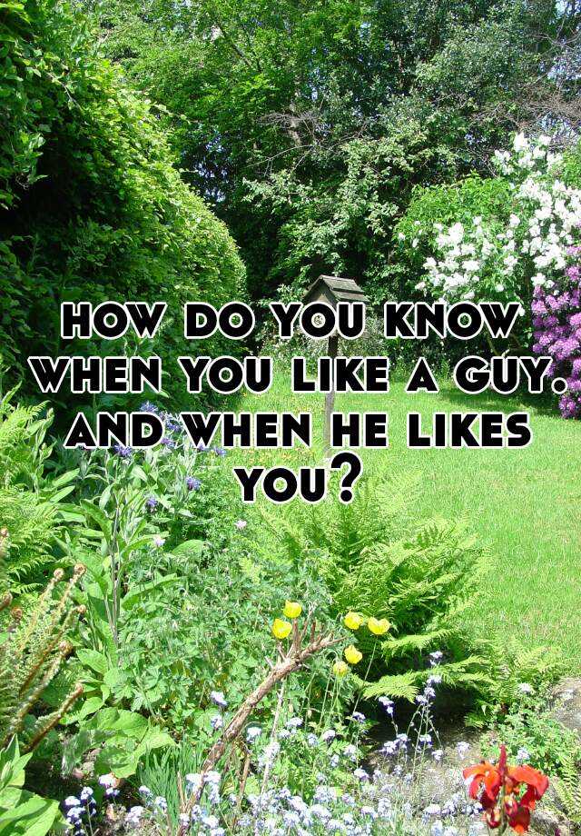 how-do-you-know-when-you-like-a-guy-and-when-he-likes-you