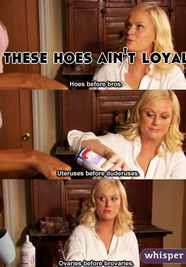 these hoes ain't loyal