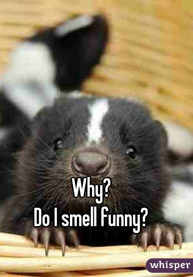 Why?
Do I smell funny?