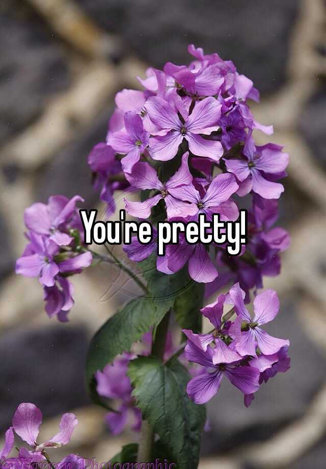 you-re-pretty