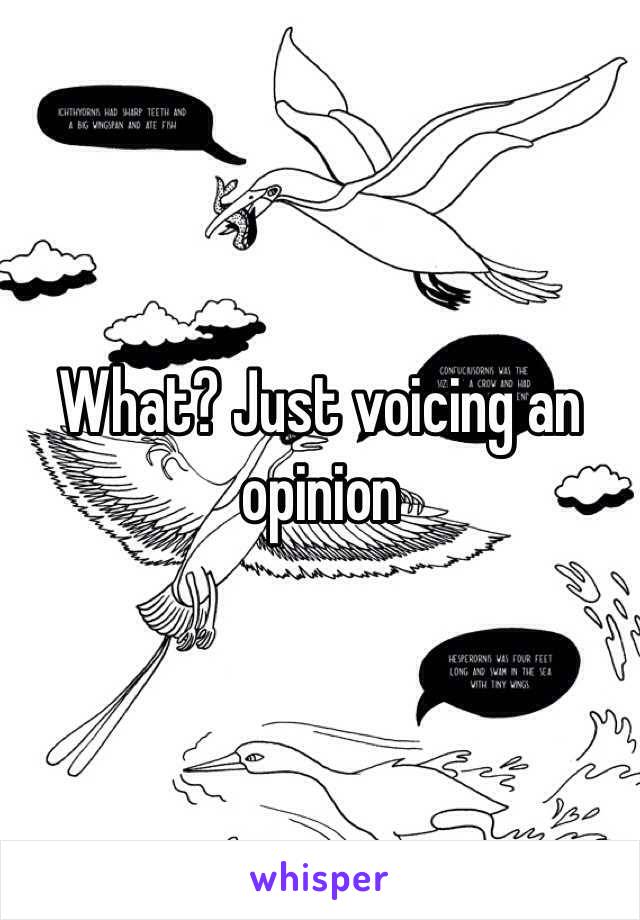 What? Just voicing an opinion