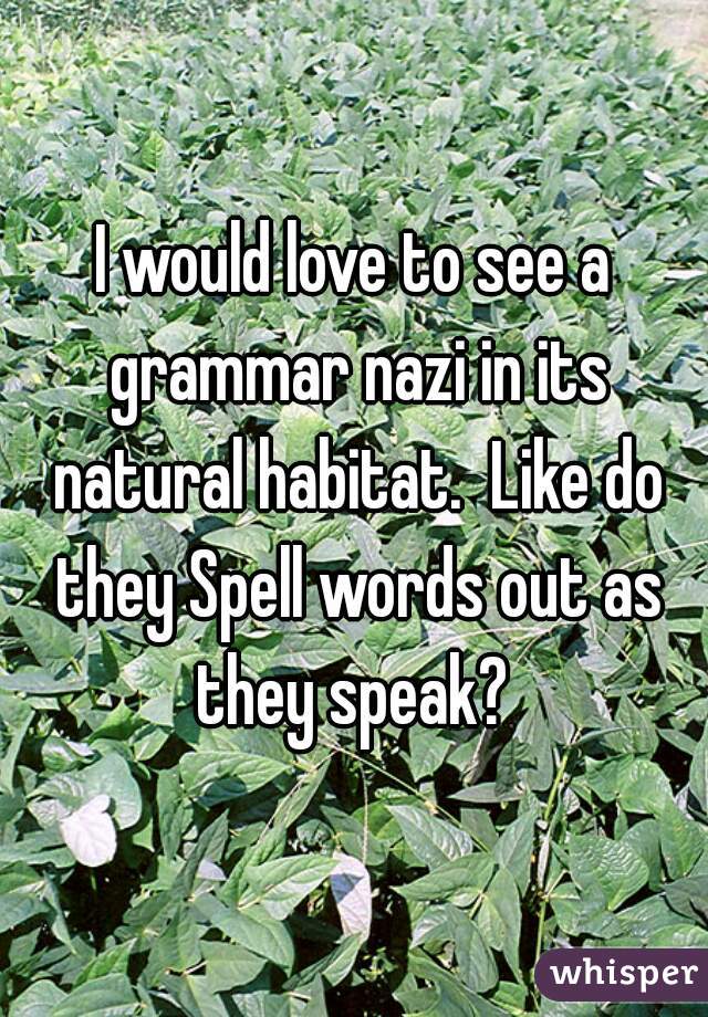 I would love to see a grammar nazi in its natural habitat.  Like do they Spell words out as they speak? 