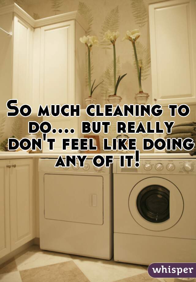 So much cleaning to do.... but really don't feel like doing any of it! 