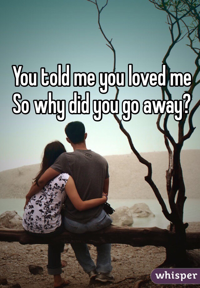 You told me you loved me
So why did you go away?