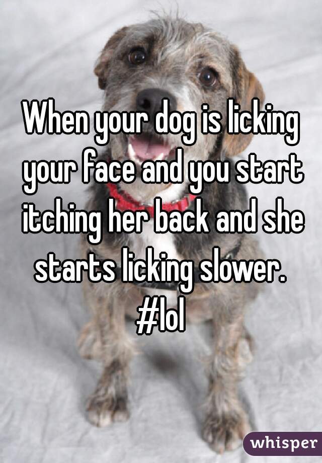 When your dog is licking your face and you start itching her back and she starts licking slower. 


#lol