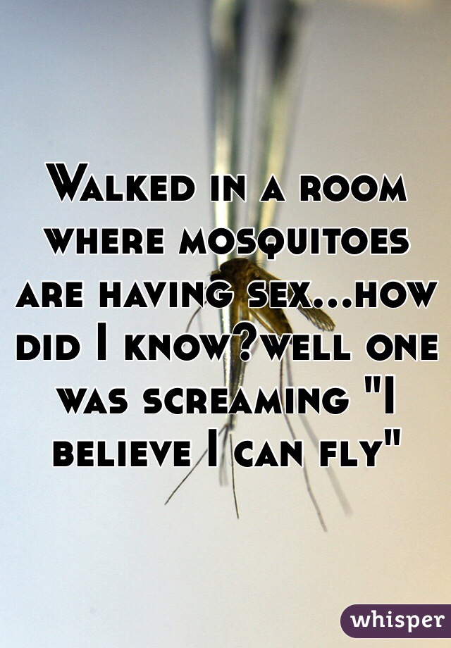 Walked in a room where mosquitoes are having sex...how did I know?well one was screaming "I believe I can fly"