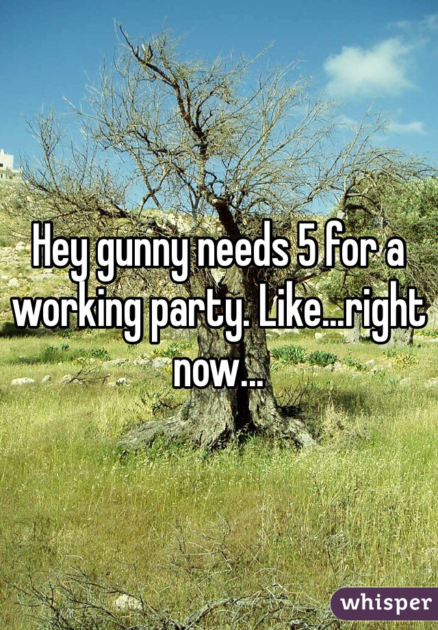 Hey gunny needs 5 for a working party. Like...right now...