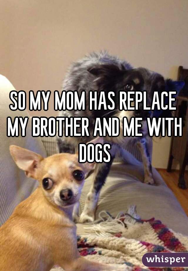 SO MY MOM HAS REPLACE MY BROTHER AND ME WITH DOGS