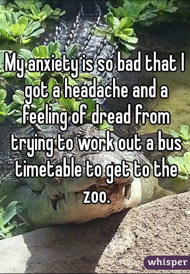My anxiety is so bad that I got a headache and a feeling of dread from trying to work out a bus timetable to get to the zoo.