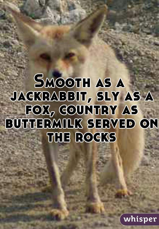 Smooth as a jackrabbit, sly as a fox, country as buttermilk served on the rocks