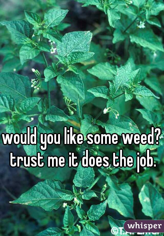 would you like some weed? trust me it does the job.