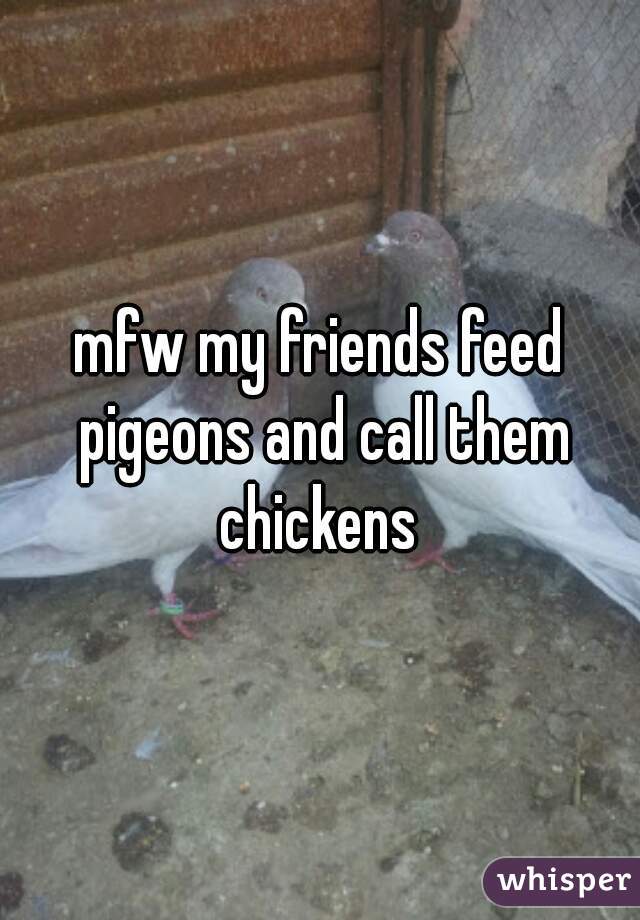 mfw my friends feed pigeons and call them chickens 