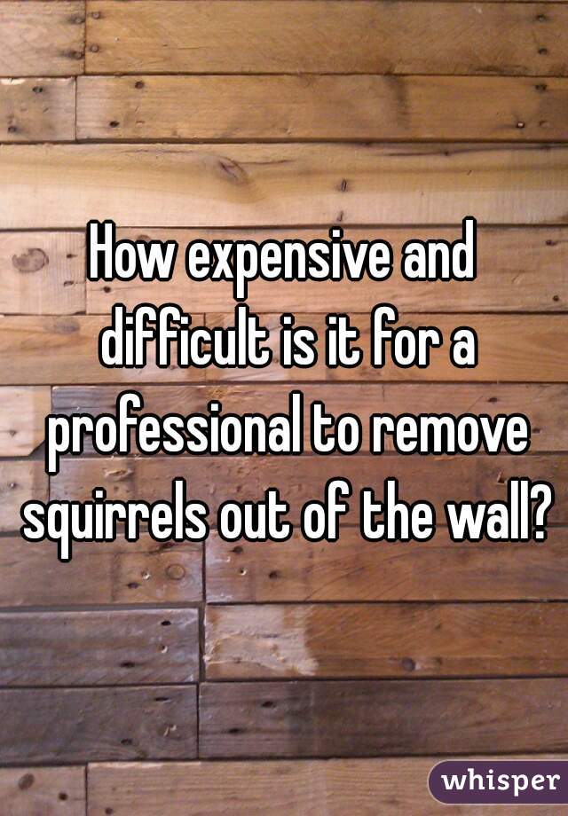 How expensive and difficult is it for a professional to remove squirrels out of the wall?