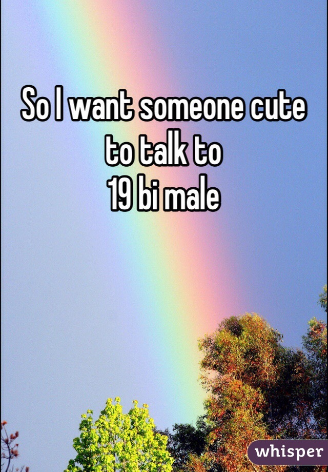 So I want someone cute to talk to 
19 bi male 