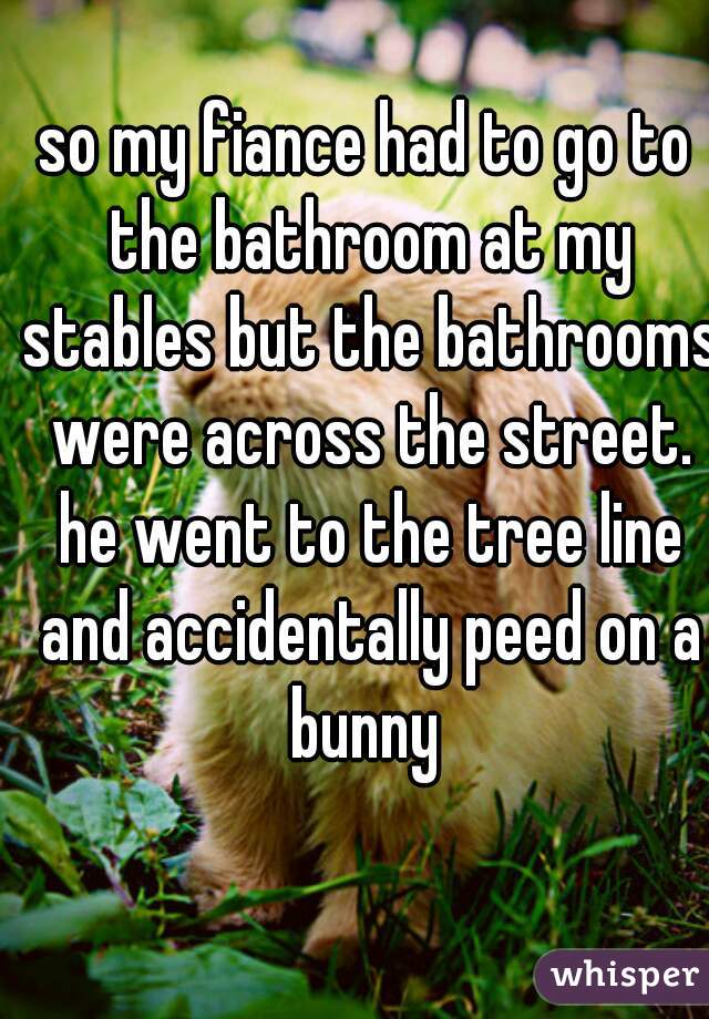 so my fiance had to go to the bathroom at my stables but the bathrooms were across the street. he went to the tree line and accidentally peed on a bunny 