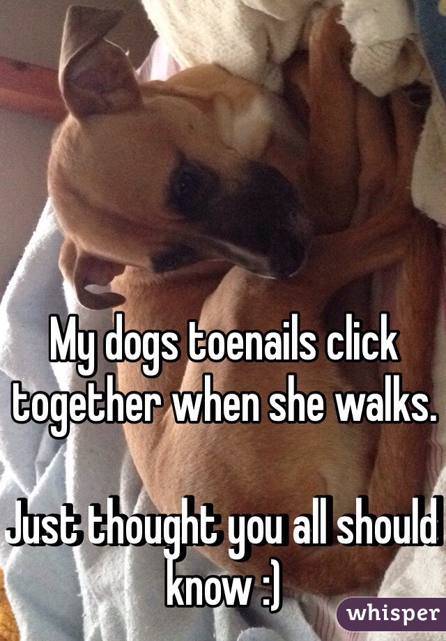 My dogs toenails click together when she walks. 

Just thought you all should know :) 