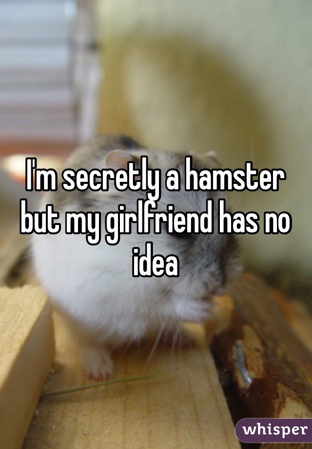 I'm secretly a hamster but my girlfriend has no idea