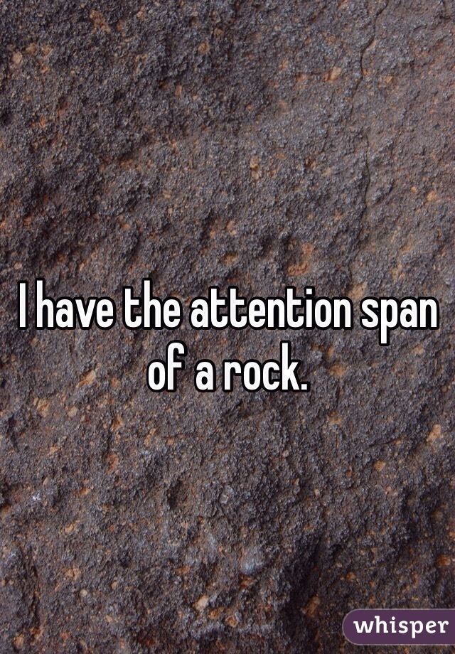 I have the attention span of a rock.

