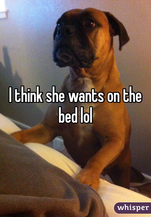 I think she wants on the bed lol