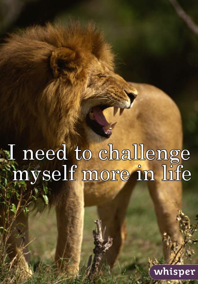 I need to challenge myself more in life