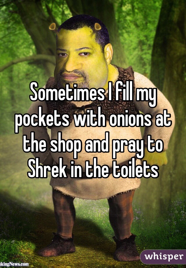 Sometimes I fill my pockets with onions at the shop and pray to Shrek in the toilets