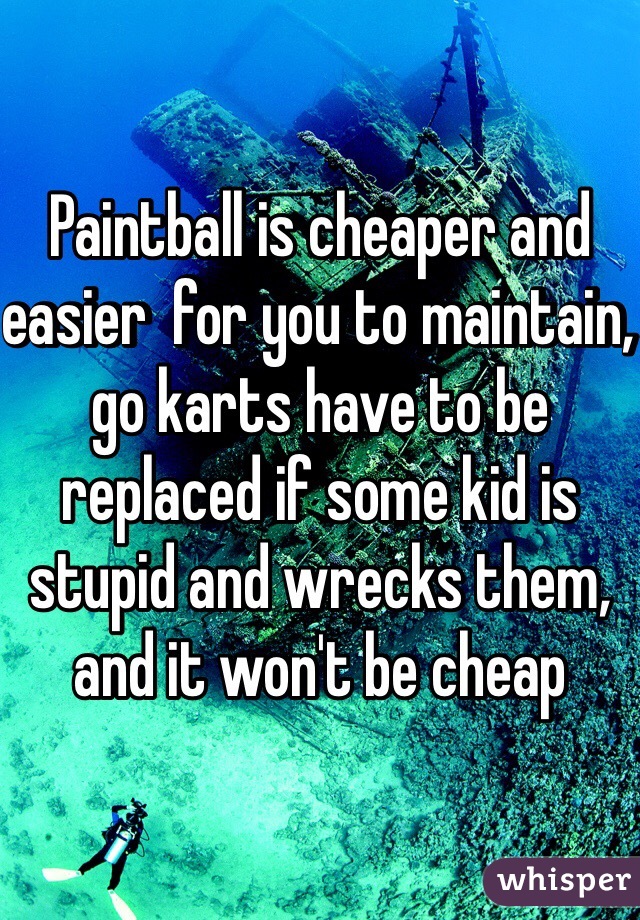 Paintball is cheaper and easier  for you to maintain, go karts have to be replaced if some kid is stupid and wrecks them, and it won't be cheap