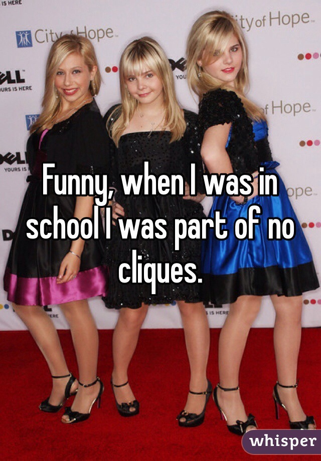 Funny, when I was in school I was part of no cliques.