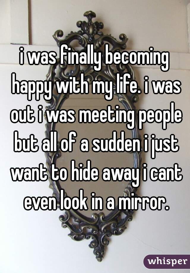 i was finally becoming happy with my life. i was out i was meeting people but all of a sudden i just want to hide away i cant even look in a mirror.