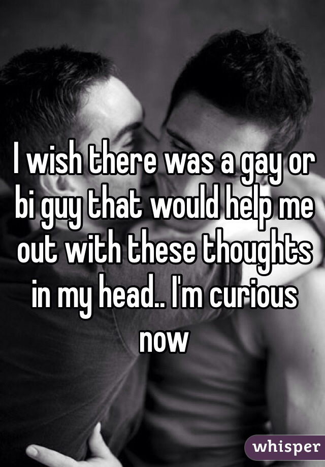 I wish there was a gay or bi guy that would help me out with these thoughts in my head.. I'm curious now 